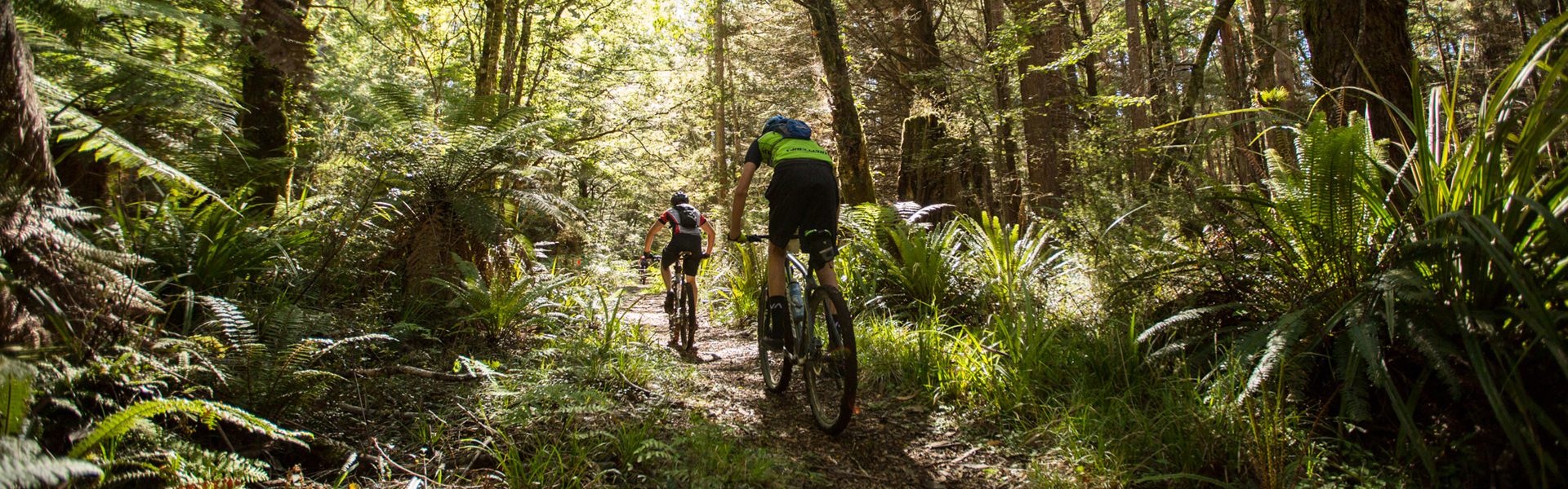 MOUNTAIN BIKING_1920X600 MOUNTAIN BIKING_1920X600
